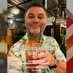The Sounds You Hear 136 - My First House Mix!!!