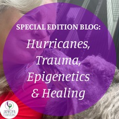 BLOG TALK SPECIAL EDITION: Hurricanes Trauma Epigenetics & Healing