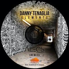 Danny Tenaglia- Elements (Alecs (US) Remix)