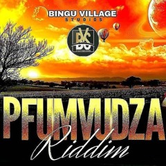 Lindsay - Usamanikidzira (Pfumvudza Riddim 2021) Bingu Village Studio