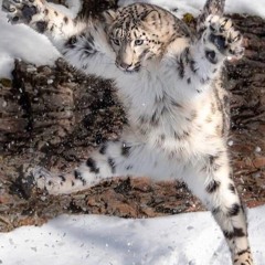 solstice micro ritual