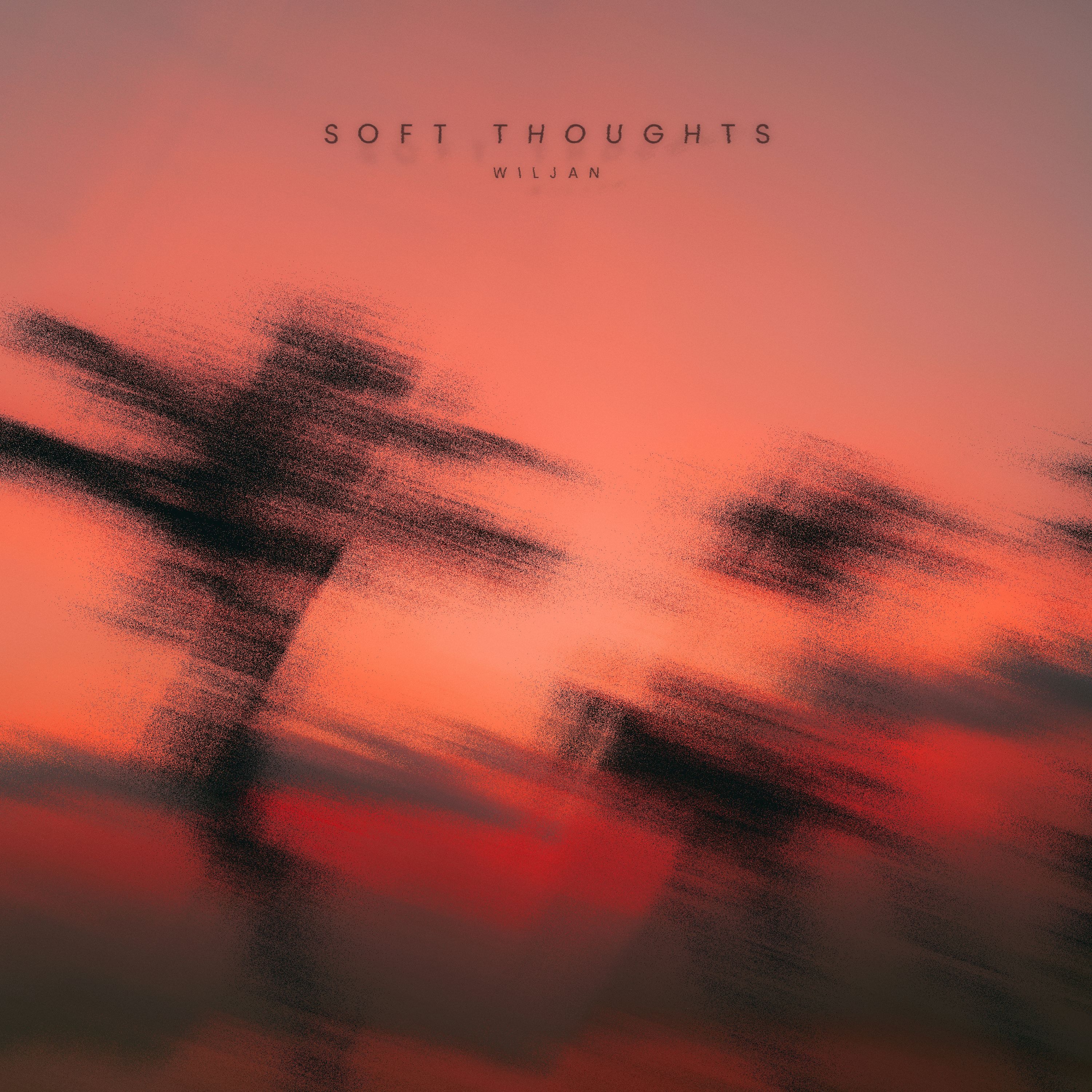Soft Thoughts episode artwork
