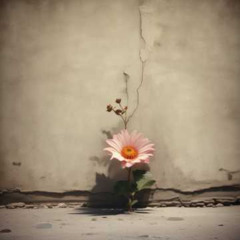 La Gratitud, reflexiva