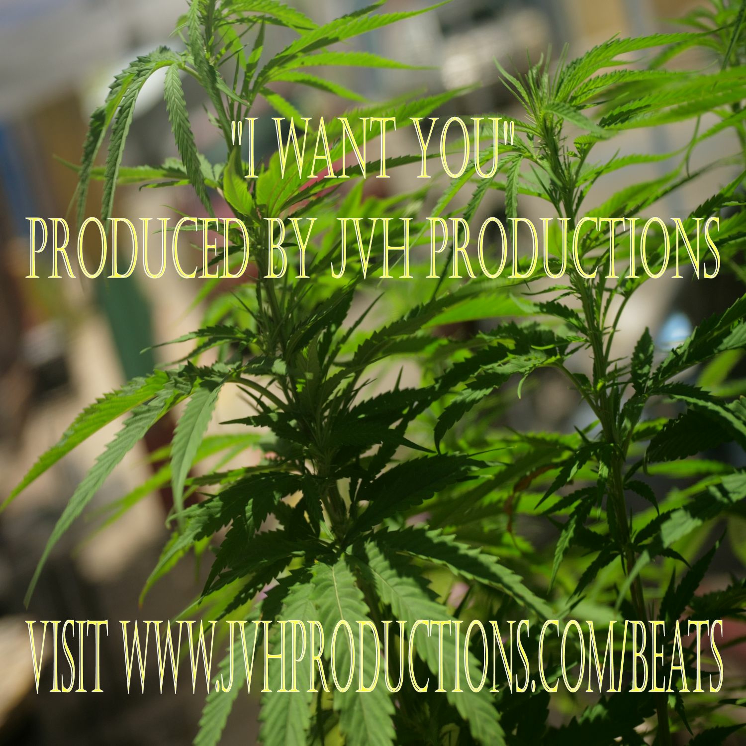 JVH Productions & Recordings