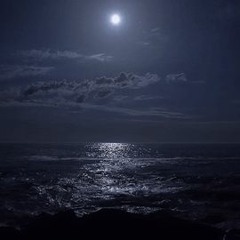 輝くの海