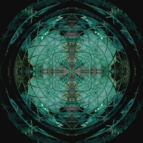 DELTA FORCE - Cryptozo0l0gy