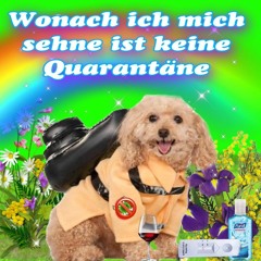 Wonach ich mich sehne ist keine Quarantäne