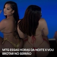 MTG ESSAS HORAS DA NOITE X VOU BROTAR NO SERRÃO