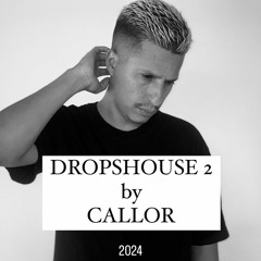DropsHouse by Callor #2