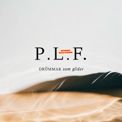 P.L.F. - Dreams That Glide (InTheMix Happy-Edit)