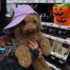 friends... (prod. by yungspoiler x scro)