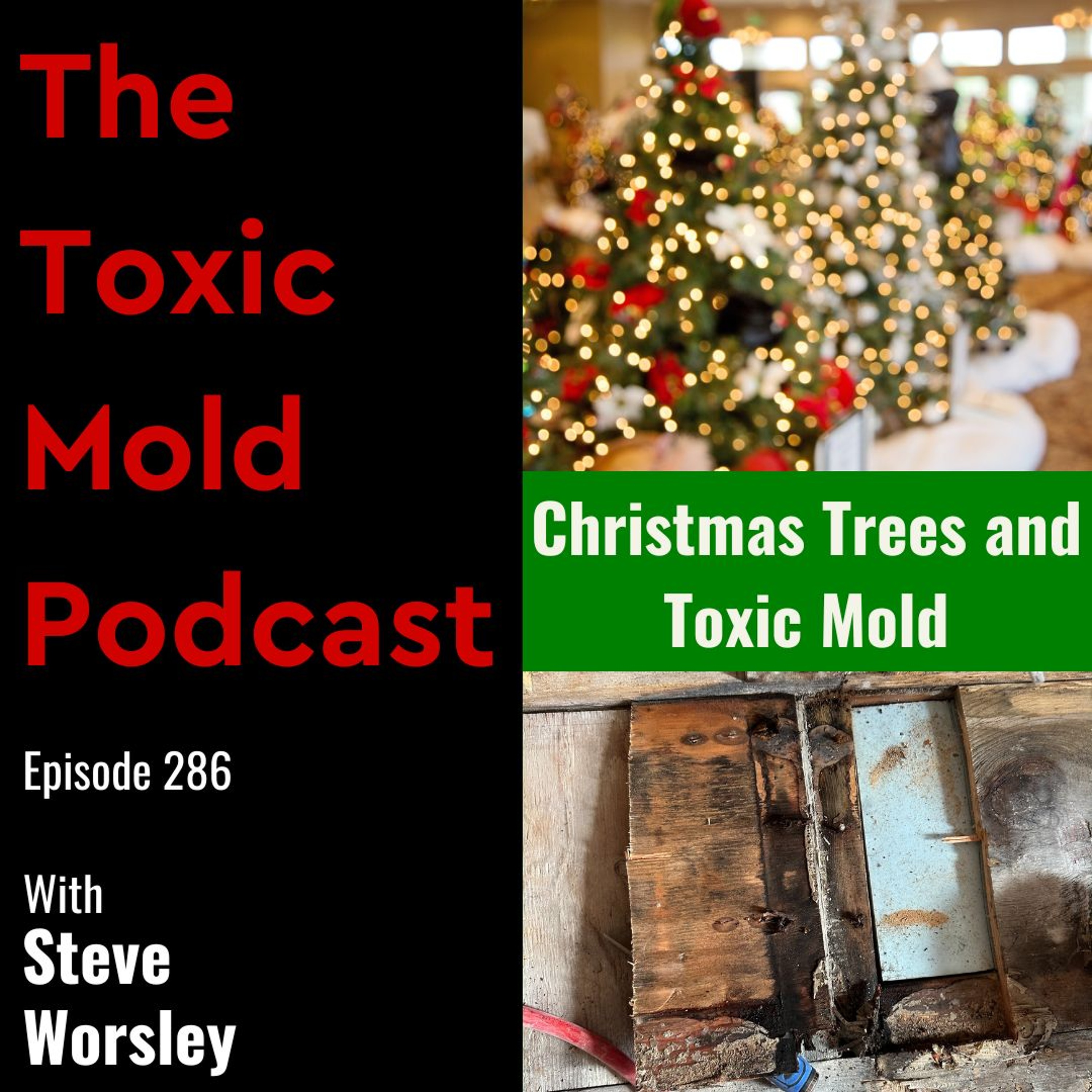 The Toxic Mold Podcast
