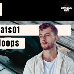 strippdbackbeats 001 - Groove Sample Pack @DemarzoEMC