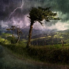 Mountain Rain & Thunderstorm Sleep Sounds