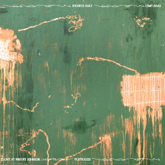 Premiere: 2 - Ricardo Baez - Some Days Are Suspicious [PLAYRJC129]