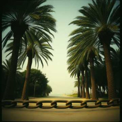 Terra das Palmeiras Dominada (Hip-hop)