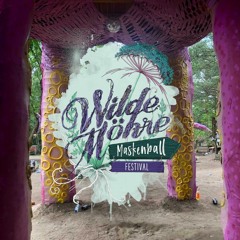 mighty @ Wilde Möhre 21 Maskenball Afterafterhour Closing