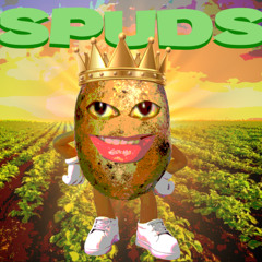 SPUDS UP