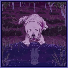 Lost Dogs
