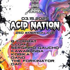 Acid Nation 2025 03 15 (Bouncy Dark Minimal Psytechmix)