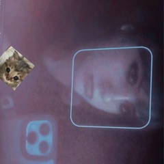 ShegonnaFuck It up w Sipinpce prod 444Jet