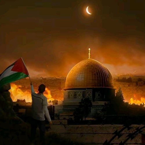 هو انت قد الاحرار قد الفلسطينية _اغاني _فلسطين ❤️❤️(M4A_128K).m4a