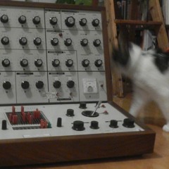 EMS VCS3 to Tape Delay Improvisation