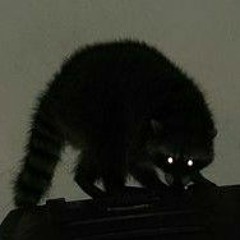 cant give you want you want-2022