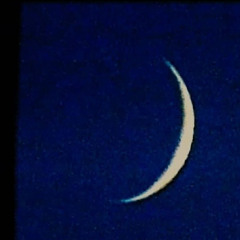 Anything Less (Feotus)