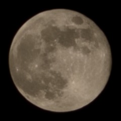 For2Young (Prod. simon x lianwolfbeats)