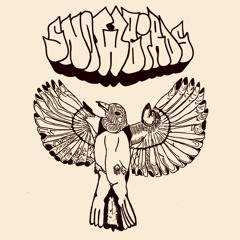 sunlight(acoustic)-snowbirds