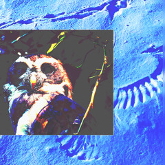 knight owl (prod 6lasionGod)