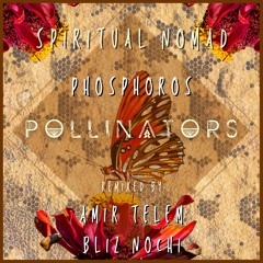 Pollinators  by Phosphoros (EP) remixed by Amir Telem & Bliz Nochi