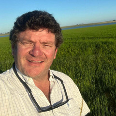 Guillermo O´Brien - Arroz