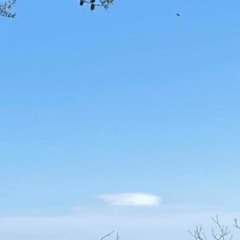 Clouds.intheoo