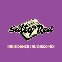 Indie Dance | Nu Disco Mix
