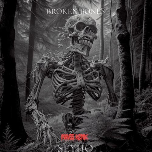 Seyho - Broken Bones (MAVSS Remix)