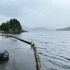 Vevring in Førdefjorden