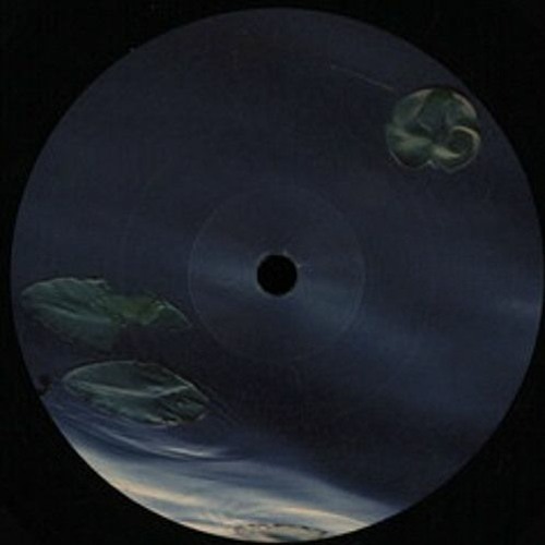 Live In My Side - Molipus