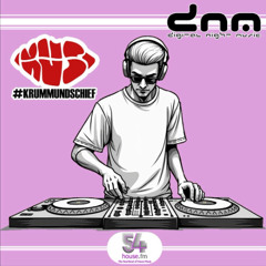 Digital Night Music pres. Krumm & Schief Edition 413