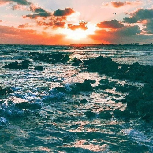 Chopin Nocturne No.20
