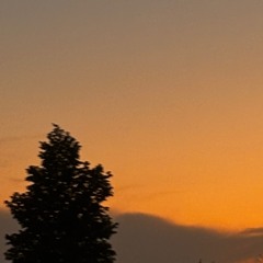 Inthedark