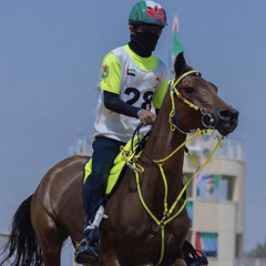 هجن الصعب⚔️