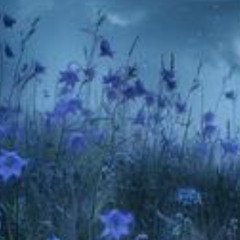 A dream came on a clear night