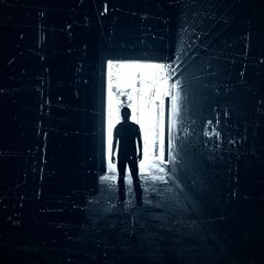 roll in fear - alex coe x NJ