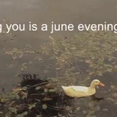 the front bottoms — montgomery forever [sped up x1.1]