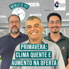 Minuto HF em Áudio - Minuto HF: Calor estimula consumo, mas maior oferta pressiona preços do hortifruti