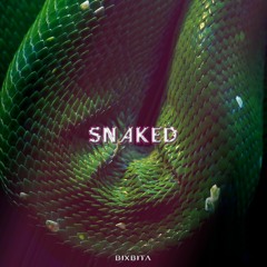 BIXBITA - Snaked