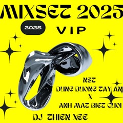 MIXSET 2025 | NST ĐỪNG BUÔNG TAY ANH X ÁNH MẮT BIẾT CƯỜI (VIP) - DJ THIEN XEE MIX