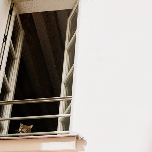 1 800-Call-Me-Back